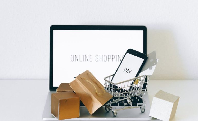 découvrez le monde de l'e-commerce et profitez d'une expérience d'achat en ligne exceptionnelle avec une large gamme de produits et services à portée de clic.